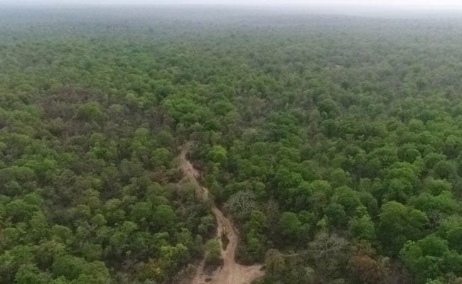 Chhatarpur : हीरों के लिये प्रकृति पर कुठाराघात पर्यावरण के लिये अभिशाप, युवाओं ने कहा हीरा नहीं पर्यावरण चाहिए